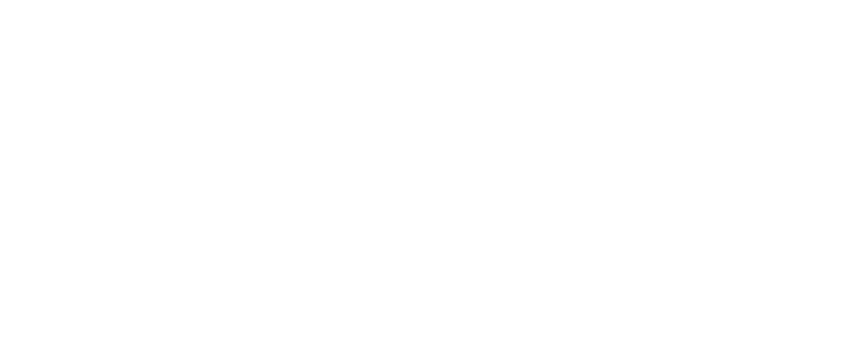 Dynohunter logo